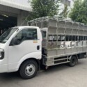 KIA K250 - THÙNG CHỞ GIA SÚC